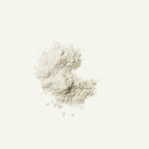 DENSE Kollagenpulver fra Storfe – Premium Kollagenprotein, 500 g – produktbilde 3